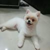 hahhahyu